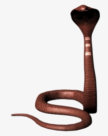 Cobra Snake Png Image Download Picture, Transparent Png, Free Download