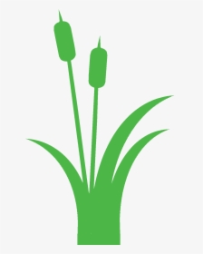 Green Cattails Clipart, HD Png Download, Free Download