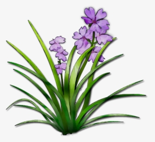 Herbaceous Plant Plant Stem Plants Terrestrial Plant, HD Png Download, Free Download