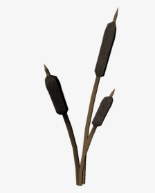 Cattails Png, Transparent Png, Free Download