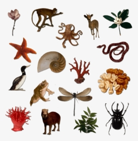 Silhouettes Of Many Living Things, HD Png Download, Free Download