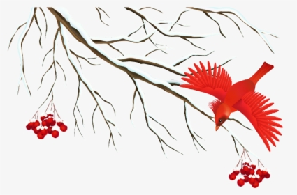 #mq #tree #snow #red #bird #birds, HD Png Download, Free Download
