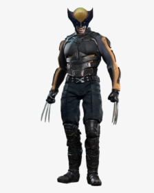 Wolverine Collectible Figure 1/6 Marvel X-men Days, HD Png Download, Free Download