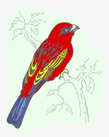 Vector Illustration Of Feathered Vertebrate Red Bird, HD Png Download, Free Download