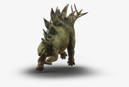 Stegosaurus, HD Png Download, Free Download