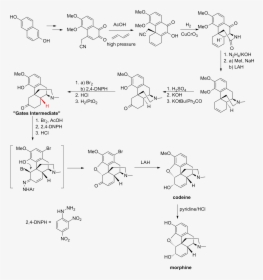 Gates Synthesis, HD Png Download, Free Download