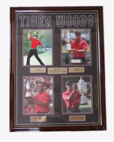Tiger Woods, HD Png Download, Free Download