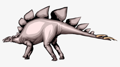 Vector Illustration Of Prehistoric Stegosaurus Dinosaur, HD Png Download, Free Download