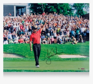 Tiger Woods Png, Transparent Png, Free Download
