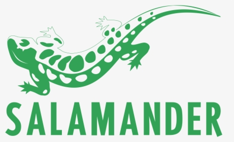 Salamander Png, Transparent Png, Free Download