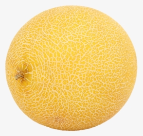 Cantalope 1, HD Png Download, Free Download