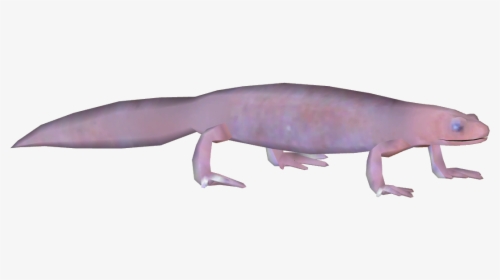 Grotto Salamander, HD Png Download, Free Download