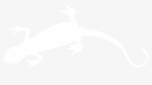 Salamander Png, Transparent Png, Free Download