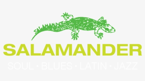 Salamander, HD Png Download, Free Download