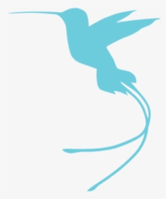 Bluehummingbirdicon6web, HD Png Download, Free Download
