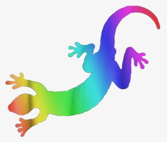 Salamander Png, Transparent Png, Free Download