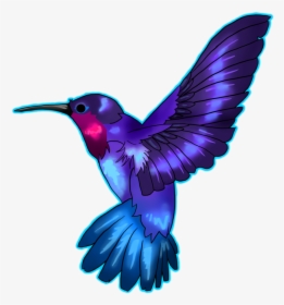 Hummingbird Art Png Photo, Transparent Png, Free Download