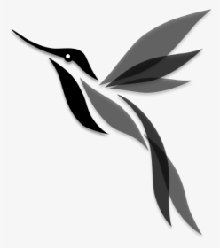Jamaican Drawing Hummingbird, HD Png Download, Free Download