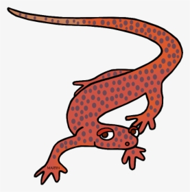 Tennessee State Amphibian, HD Png Download, Free Download
