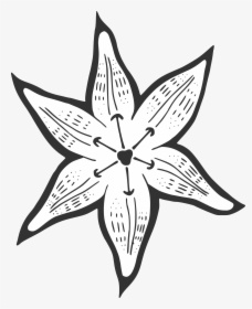 A Lily For Becky Clip Arts, HD Png Download, Free Download