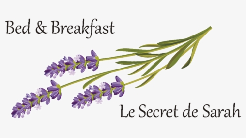 Le Secret De Sarah, HD Png Download, Free Download