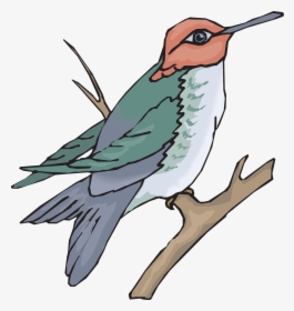 Humming Bird Png, Transparent Png, Free Download