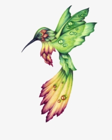 Habitat Drawing Hummingbird, HD Png Download, Free Download