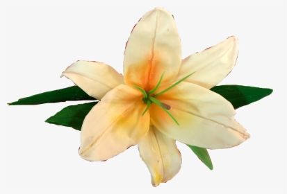 Transparent Lillies Png, Png Download, Free Download
