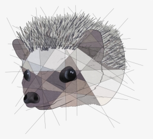 Geometric Hedgehog @poppy-hedgie  $20 Geometric Commissions - Procyon, HD Png Download, Free Download