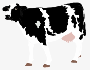 Realistic Cow Illustration Clip Arts - Dairy Cows Drawings, HD Png Download, Free Download