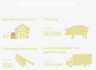 Domestic Pig, HD Png Download, Free Download