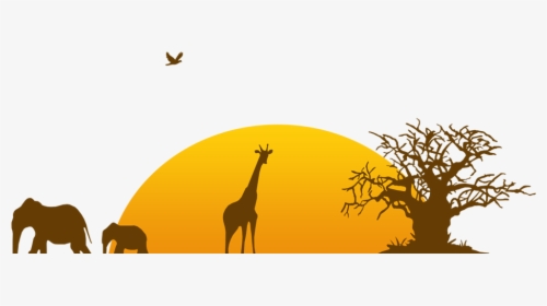 Zoo Transparent Background, HD Png Download, Free Download