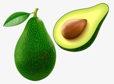 Avocado Png Vector Clipart Image, Transparent Png, Free Download