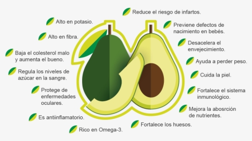 Aguacate-04 - Graphic Design, HD Png Download, Free Download