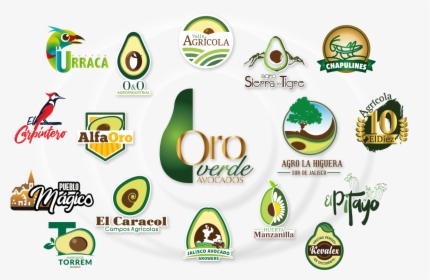 Aguacate, HD Png Download, Free Download