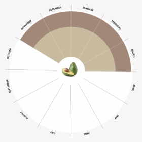 Bio Avocado Production Calendar - Circle, HD Png Download, Free Download