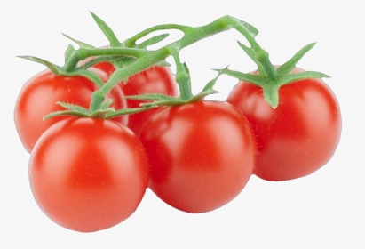 Tomate Cherry Rama , Png Download - Transparent Png Tomates Cherry, Png Download, Free Download