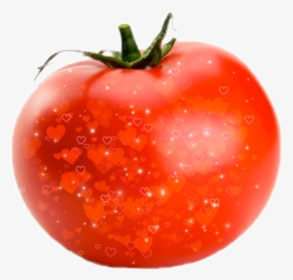 #tomate #tomato #tomato🍅 - Tomato, HD Png Download, Free Download