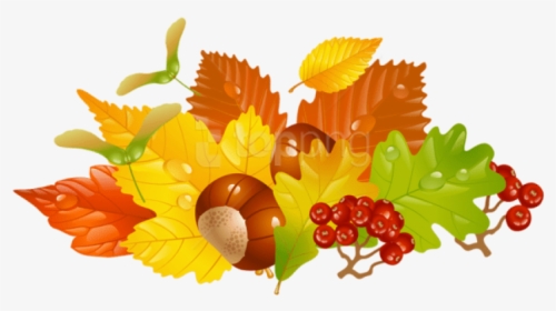 Free Png Download Transparent Fall Leaves And Chestnuts - Fall Clipart Transparent Background, Png Download, Free Download