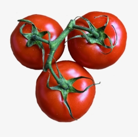 #tomato🍅 #tomate, HD Png Download, Free Download