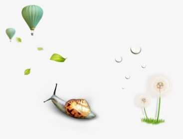Nature Environment Icon - Hot Air Balloon, HD Png Download, Free Download