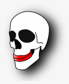 Head,skull,jaw - Ugly Skull, HD Png Download, Free Download