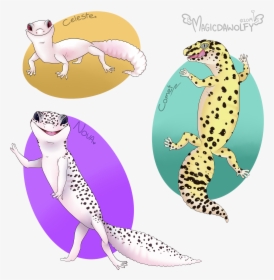 Leopard Gecko Pet Portrait, HD Png Download, Free Download