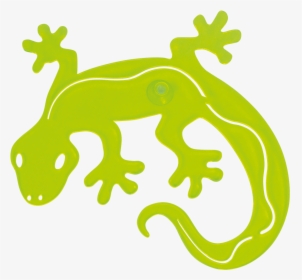 Sun Dancer - Gecko Green - Gecko, HD Png Download, Free Download