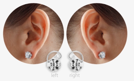 Protect Your Earlobes, Enhance Your Look - Earrings, HD Png Download, Free Download