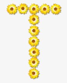 Sunflower Seed,plant,flower - Sunflowers Letter Y Png, Transparent Png, Free Download