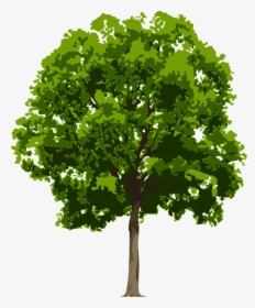 Tree Cliparts Transparent Realistic - Tree Png Free, Png Download, Free Download