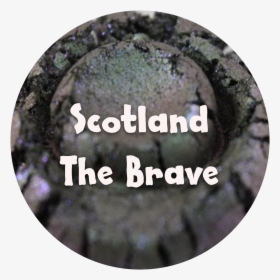 Brave Png, Transparent Png, Free Download