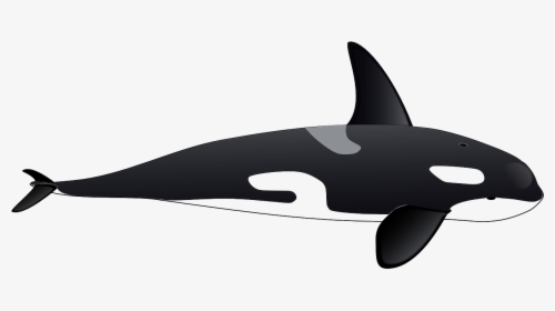 Orca Clipart, HD Png Download, Free Download
