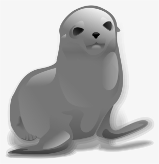 Walrus Clipart Sea Life - Seal Clip Art, HD Png Download, Free Download